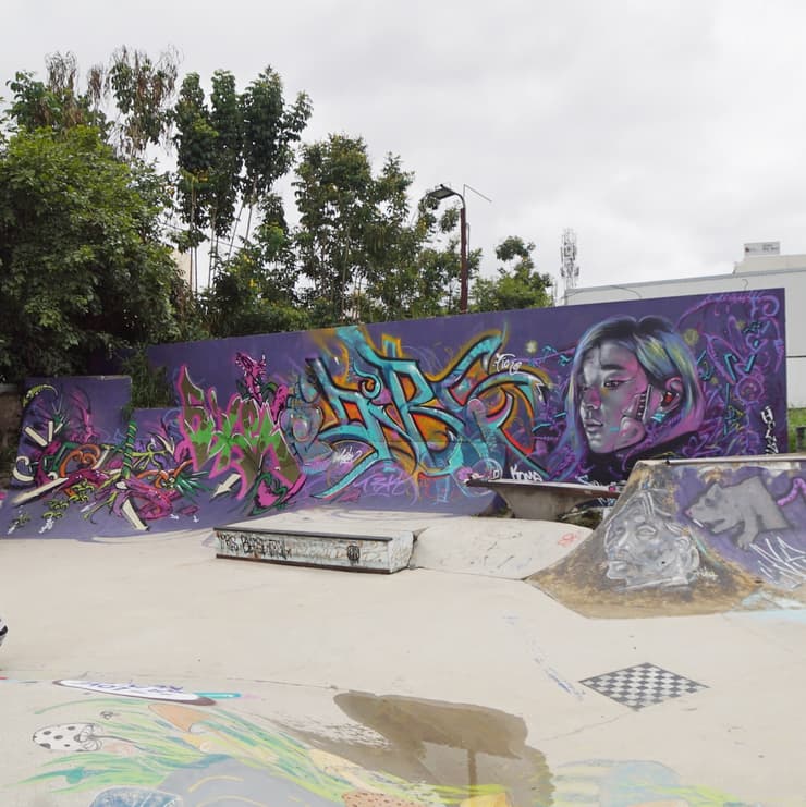 Skatepark wall, Bangalore, detail 1