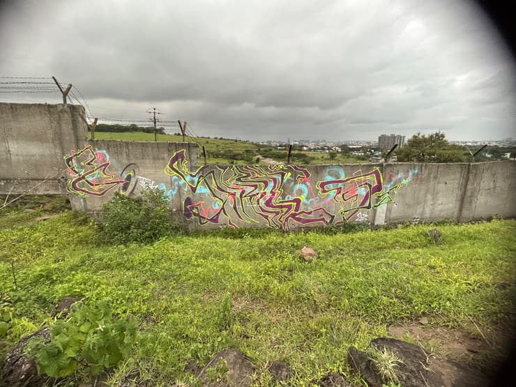 Purple wildstyle, field wall, Pune, detail 1