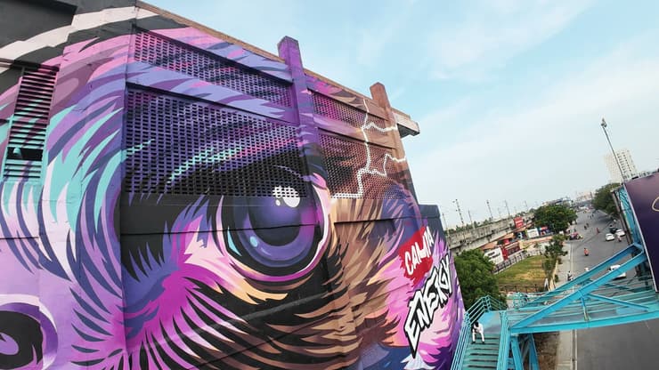 India's Largest Brand Mural, Chennai, detail 2