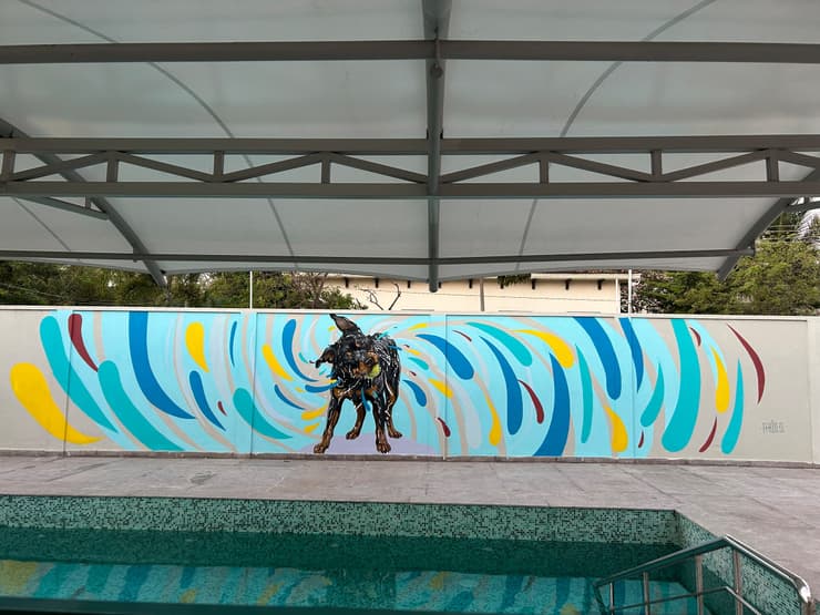 Pawclub, swimming pool dog mural, Chennai, detail 2