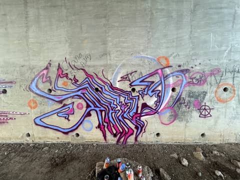 Purple wildstyle, flyover wall, Chennai