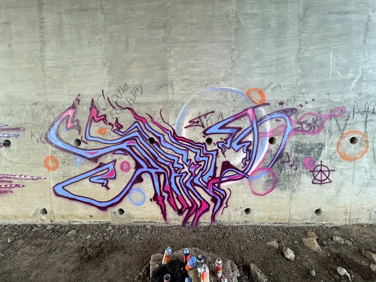 Purple wildstyle, flyover wall, Chennai