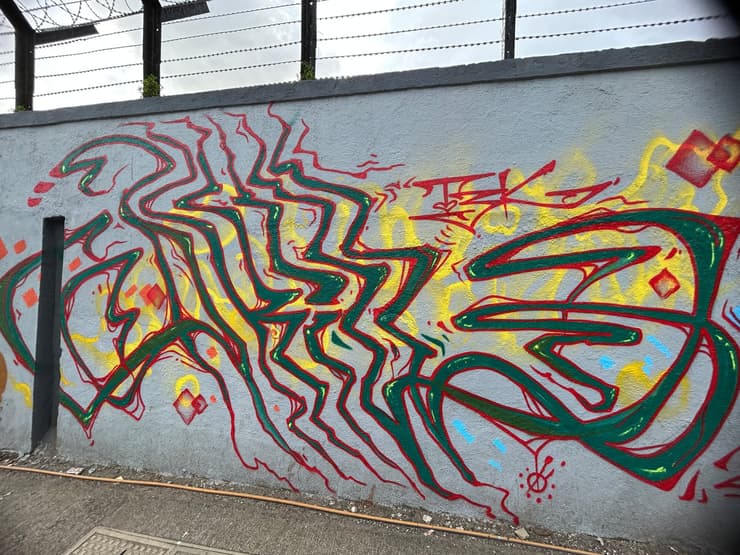 Red-green wildstyle, fenced wall, Mumbai