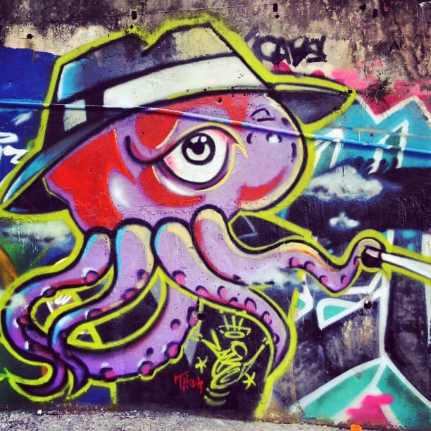 Mr Octo