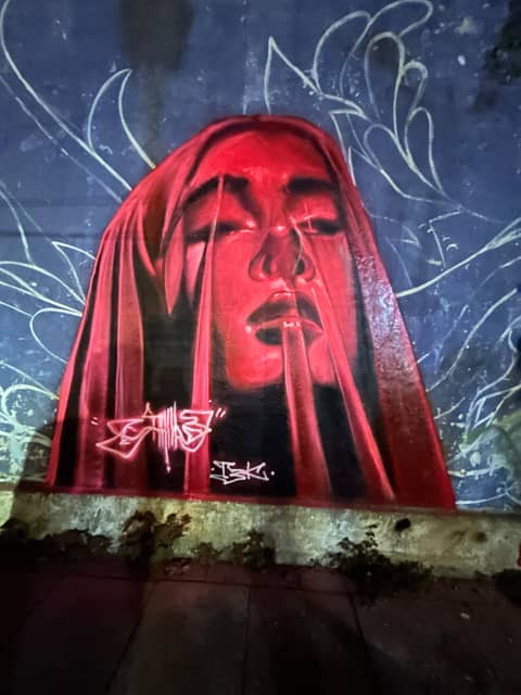 Red-hooded woman, Puducherry