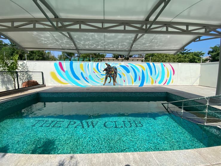 Pawclub, swimming pool dog mural, Chennai